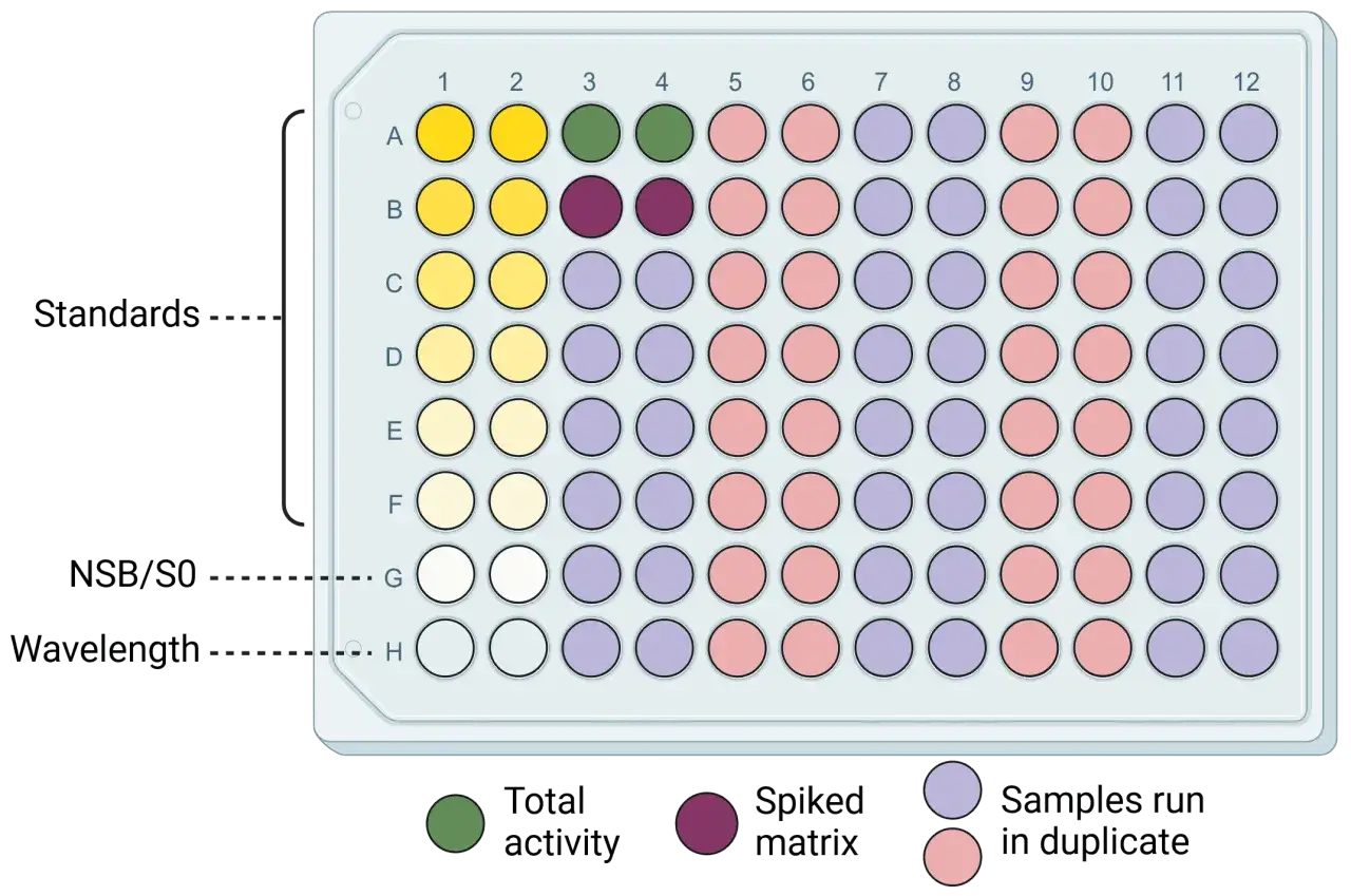 Elisa-Platte mit verschiedenen Probenfarben: Standards, Spiked Matrix und Proben.