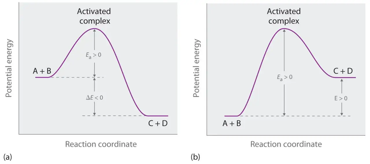 Zwei Energieprofil-Diagramme zeigen Reaktionsverläufe. (a) Exotherme Reaktion mit ΔE < 0. (b) Endotherme Reaktion mit E > 0. Beide folgen der rgt Regel.