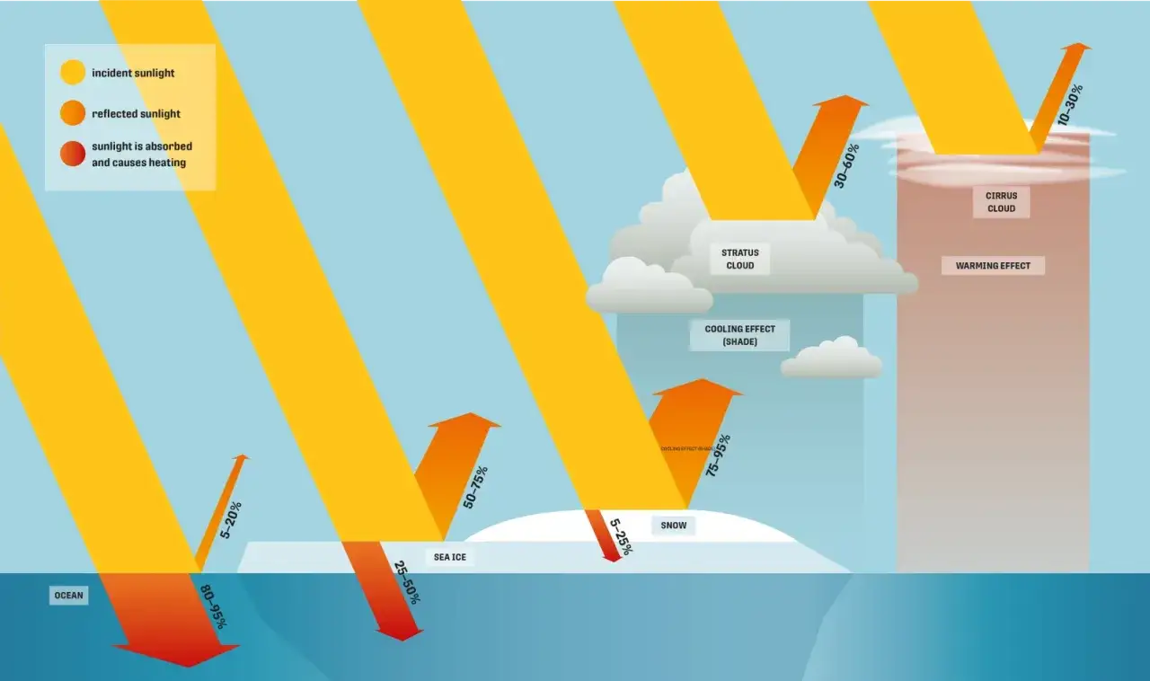 Diagramm zeigt, wie Sonnenlicht reflektiert oder absorbiert wird. Hoher Albedo-Wert bei Schnee, geringer bei Ozean.
