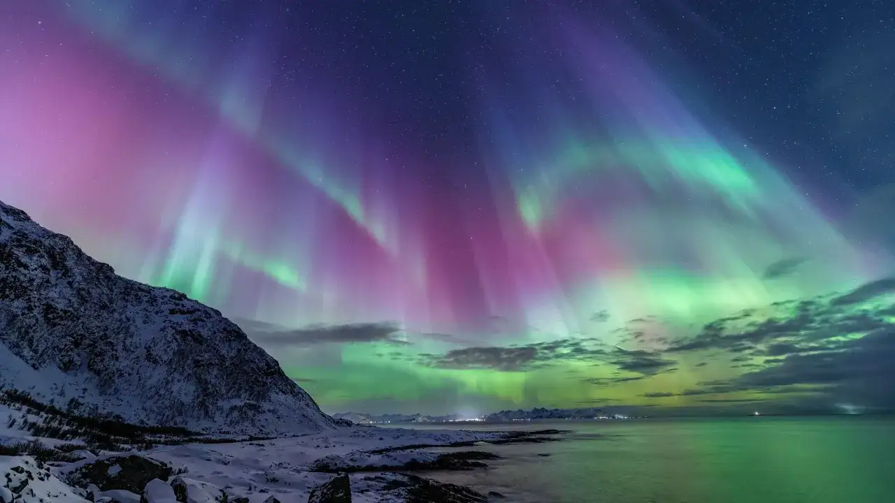 Spektakuläres Polarlicht in Violett und Grün tanzt über einem schneebedeckten Berg und dem Meer.