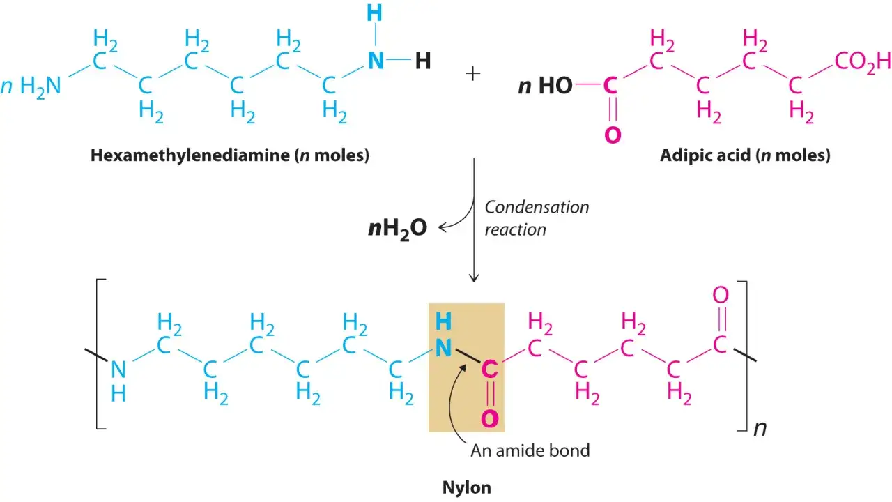 Die Polykondensation von Hexamethylendiamin und Adipinsäure zu Nylon unter Abspaltung von Wasser. Ein Amidbindung entsteht.